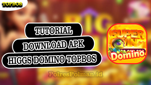 Download Higgs Domino Topbos Com Versi Terbaru