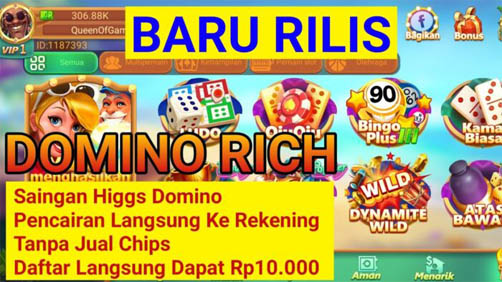 Fitur Domino Rich Apk