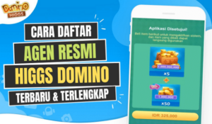 Link Alat Mitra Higgs Domino Apk Resmi Terbaru