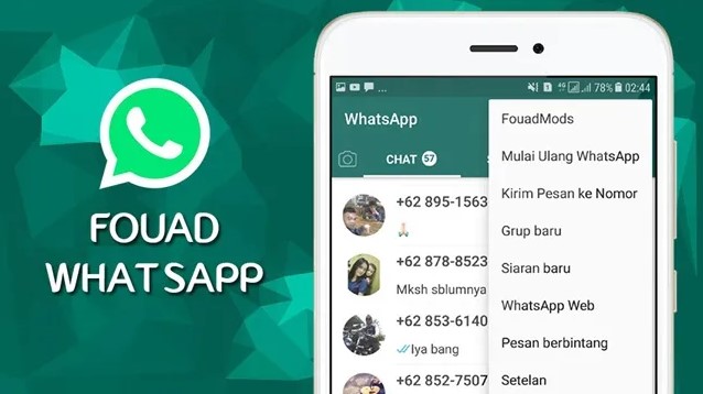 Sekilas Mengenai Fouad WhatsApp Mod Apk